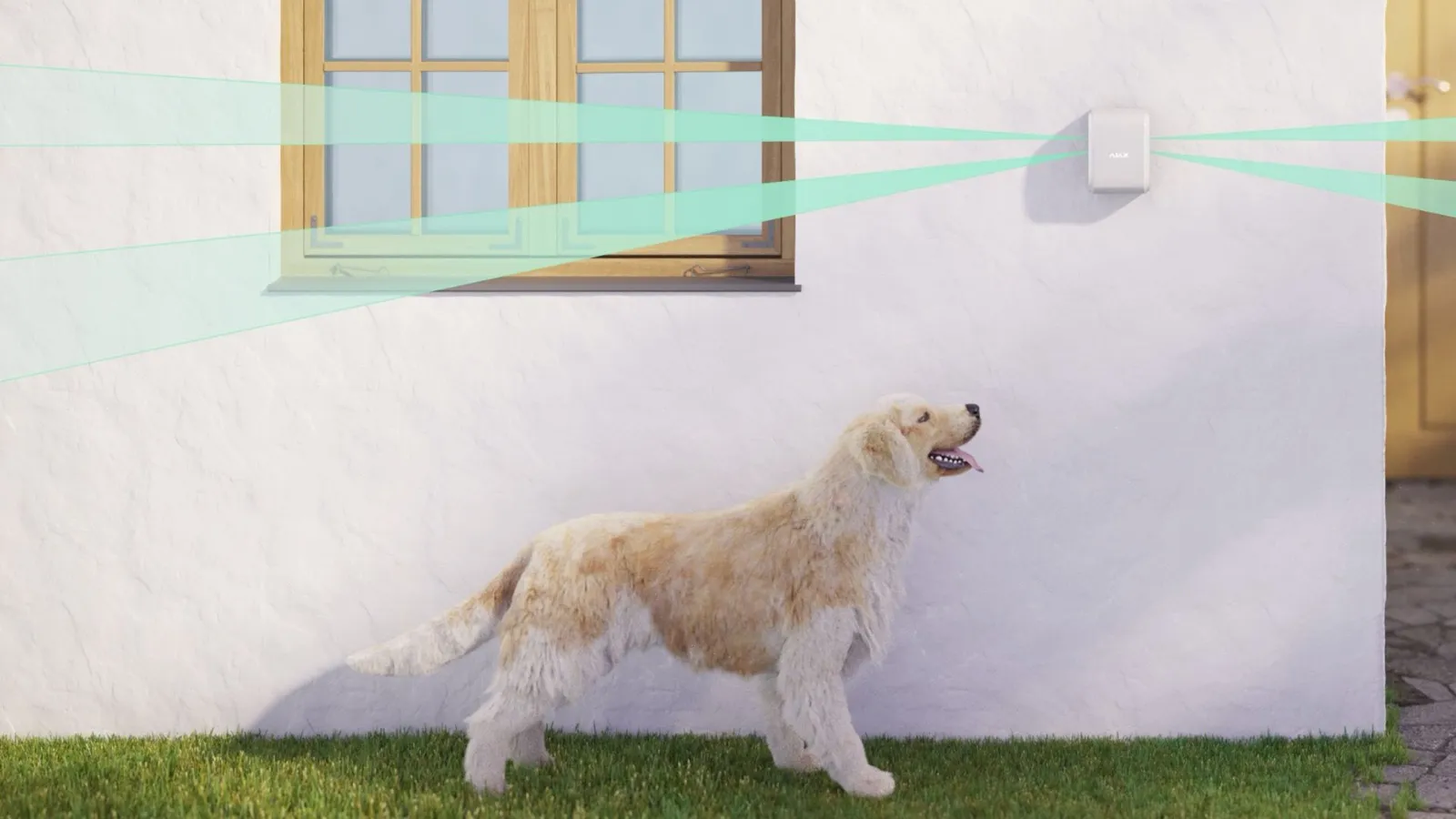 Pet Immunity σε ανιχνευτές κίνησης_Πώς λειτουργεί και πώς ρυθμίζεται σωστά στην πράξη;